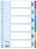 Kartonregister Standard Blanko, A4, Karton, 6 Blatt