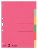 Kartonregister Blanko, A4, Karton, 6 Blatt, farbig