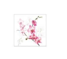 Serviette "Orchid" 25 x 25 cm 20er Packung