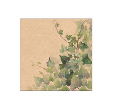 Serviette "Recycled Hedera" 33 x 33 cm 20er Packung