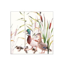 Serviette "Ducks Couple" 33 x 33 cm 20er Packung